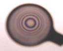 Concentric Sight